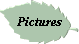 Pictures