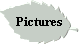 Pictures